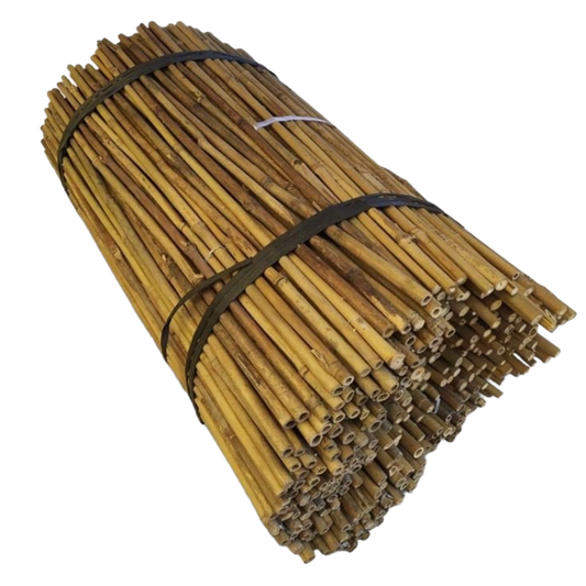 CAÑA DE BAMBU-ALT.060 CM. Ø(06/08)mm.UNID.1000